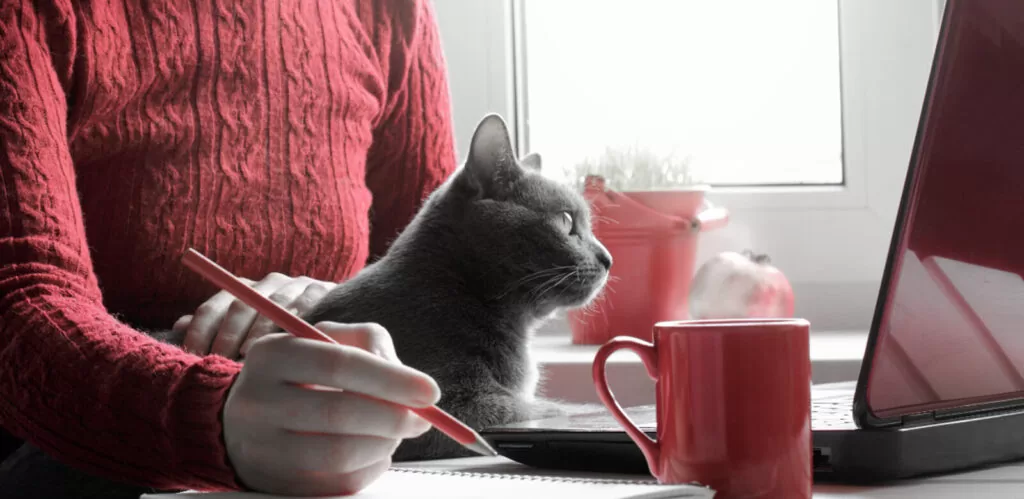 Content Marketing